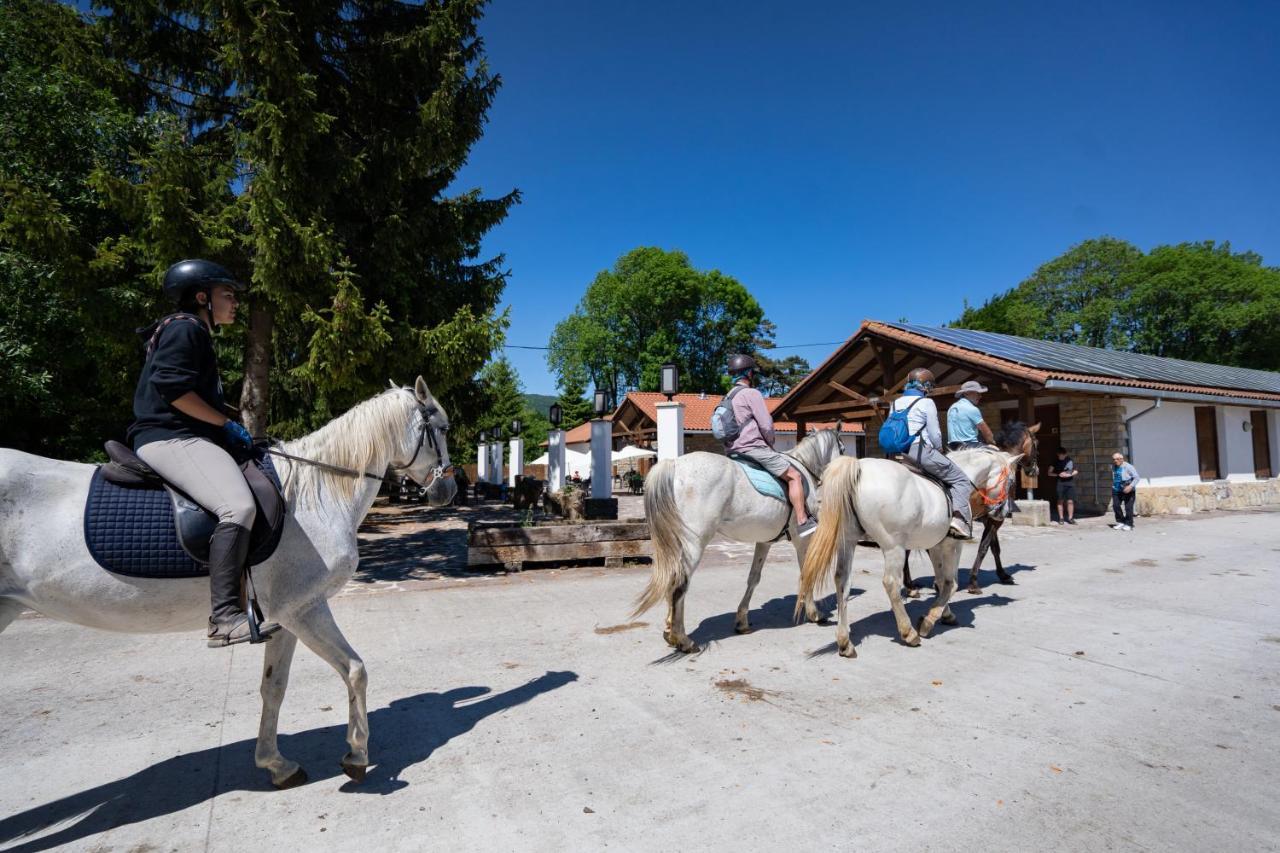 ホテル Kampaoh Sierra De Urbasa Bacáicoa エクステリア 写真